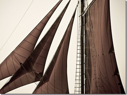 Roseway Sails